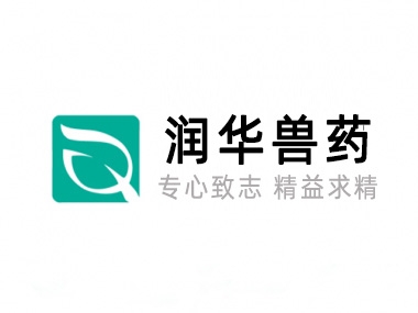 关于J9集团