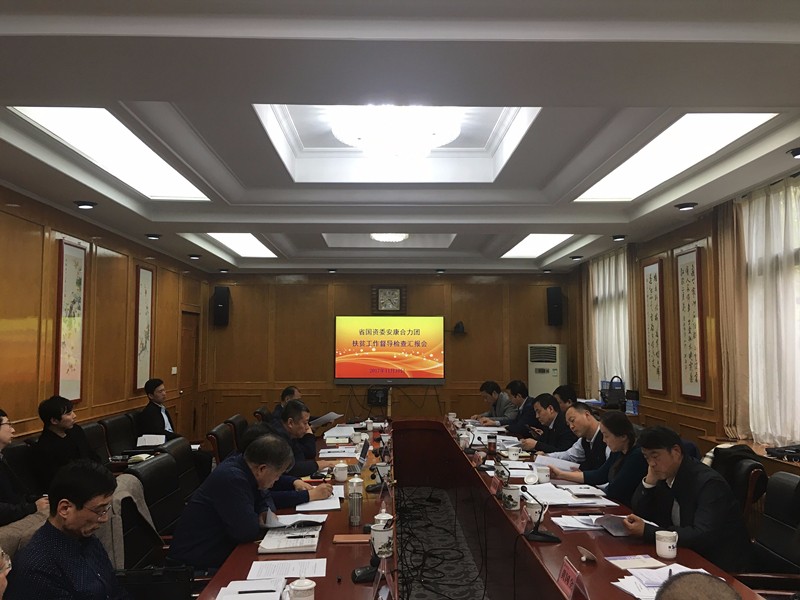 陕西公海彩船6600集团参与省国资委安康合力团扶贫工作督导查抄汇报会